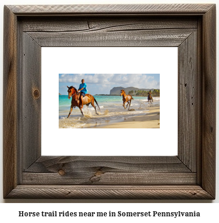 horse trail rides near me in Somerset, Pennsylvania